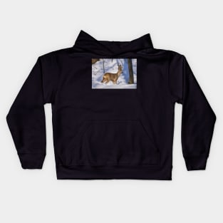 Roe deer (Capreolus capreolus) in the snow Kids Hoodie